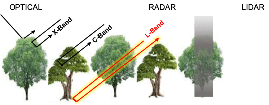 Lidar